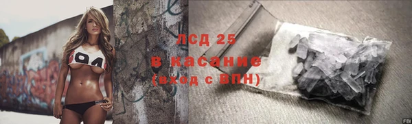 стафф Аркадак