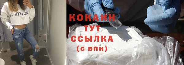 стафф Аркадак