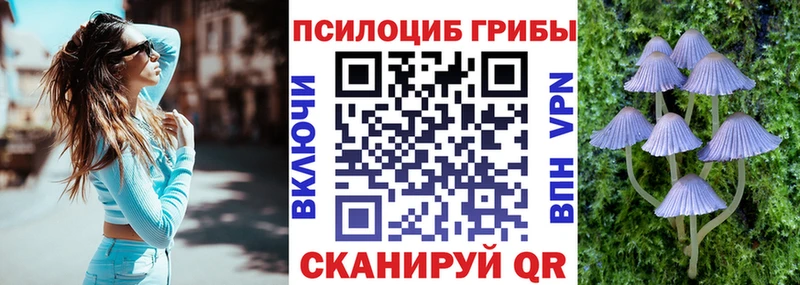 Галлюциногенные грибы Magic Shrooms  Мариинский Посад 